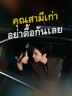 คุณสามีเก่า อย่าตื้อกันเลย